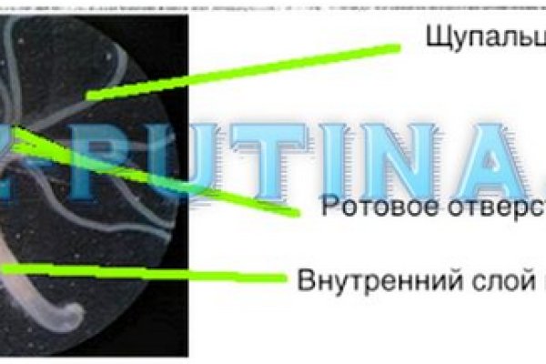 Кракен зеркало сайта