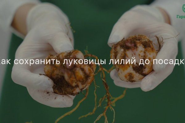 Реальные ссылки кракен
