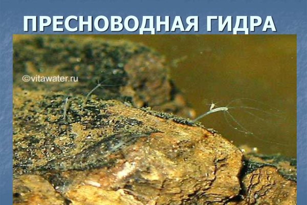 Ссылка на кракен 2krnmarket