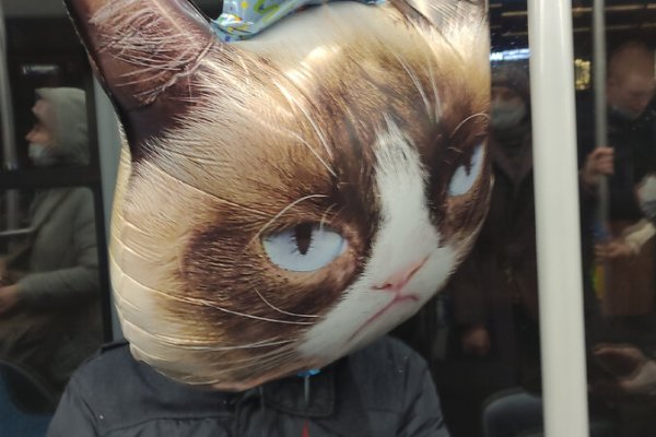 Кракен что там продают